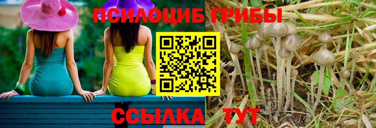 Псилоцибиновые грибы GOLDEN TEACHER  Галлюциногенные грибы Magic Shrooms  Вход с VPN  купить закладку  Ирбит 