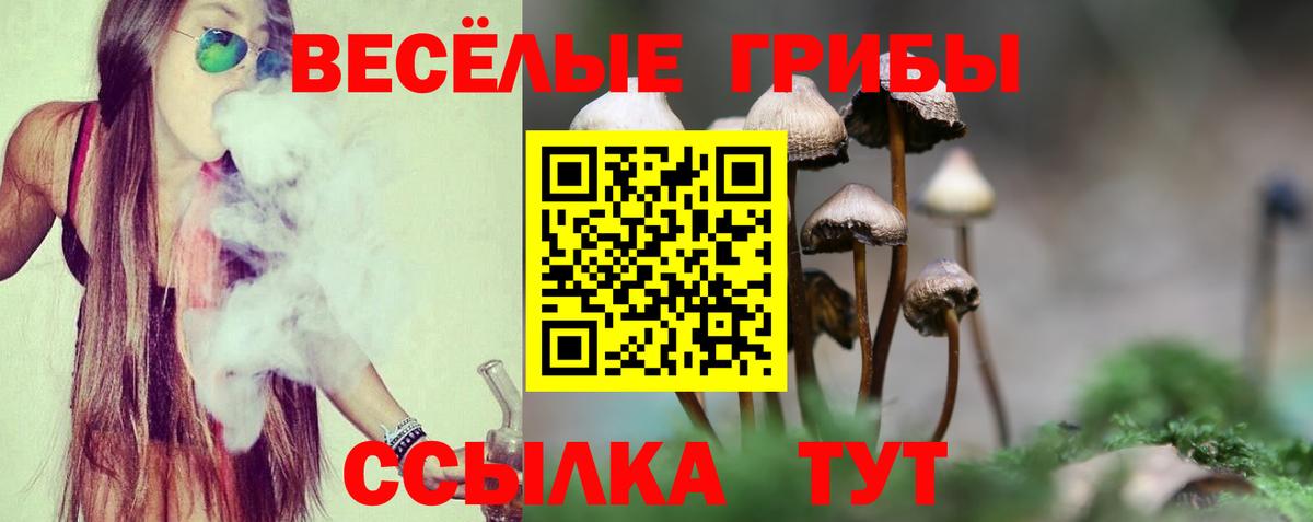 Псилоцибиновые грибы MAGIC MUSHROOMS Ирбит